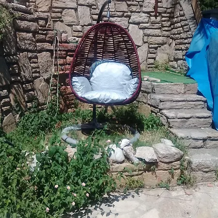 Orkide * Akyaka (Mugla)