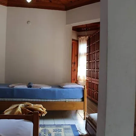 Orkide * Akyaka (Mugla)