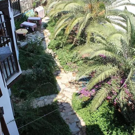 Orkide Hotel *