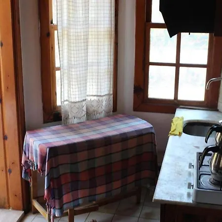 Orkide * Akyaka (Mugla)