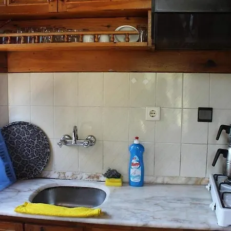 Orkide Akyaka (Mugla)